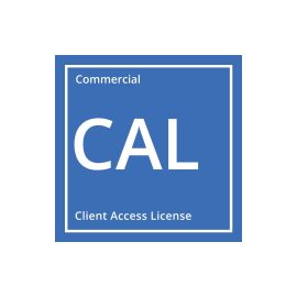 Lenovo Windows Server 2025 User CAL Multilanguage 10er Pack - FRI-GX47-004K9X