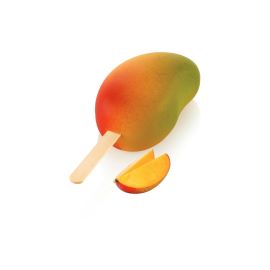 Silikomart Silikonform für Eis Mango - FRI-GX47-001VXJ
