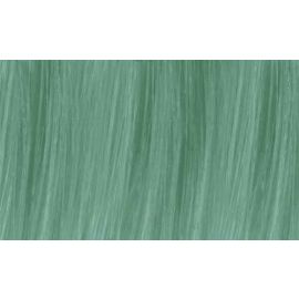 Kevin Murphy Color.Me Toner Jade / 100 ml - FRI-YD15-00002Q
