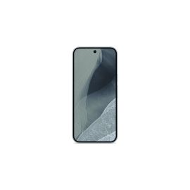 Google Pixel 11 Pro XL 256 GB 12 GB RAM Nebelgrau - FRI-GX47-0077DT