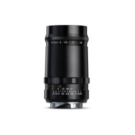 TTArtisan Festbrennweite 100mm F/2.8 – Leica M - FRI-GX47-005F31