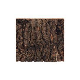 Repti Planet Kork-Rück Wand 19 x 17.3 x 2 cm - FRI-GX47-006M83
