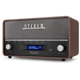 Audizio DAB+ Radio Corno Grau - FRI-GX47-0006BZ