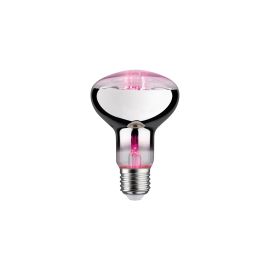 Paulmann Leuchtmittel Grow Green R80 E27, 6.5 W - FRI-GX47-003B8C