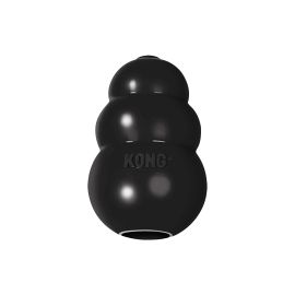 Kong Hunde-Spielzeug Extreme Ø 5 cm, Schwarz - FRI-GX47-005ZJN