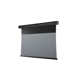Celexon Motorleinwand HomeCinema Plus Tension 265.7x149.4 cm Schwarz