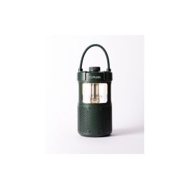 Pure Radio Woodland Glow Grün - FRI-GX47-0026EK