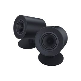Razer PC-Lautsprecher Nommo V2 X - FRI-GX47-003ZZ1