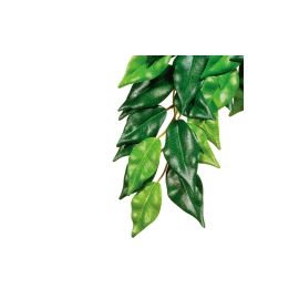Exo Terra Regenwaldpflanze Fikus, S - FRI-GX47-001XB1