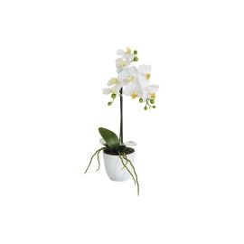 Botanic-Haus Kunstblume Phalenopsis 1 Rispe im Topf, Weiss - FRI-GX47-001J35