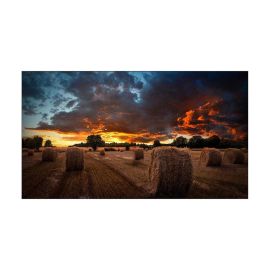 Samsung Videowall Display VM55B-U 55 " - FRI-GX47-001XH4