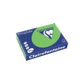 Clairefontaine Kopierpapier Trophée Colored Copy A4, Grün, 160 g/m² - FRI-GX47-0012B4