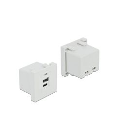 Delock Easy 45 USB Ladeportmodul 1 x USB Typ-A + 1 x USB Type-C - FRI-GX47-004MXK