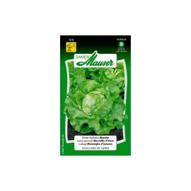 Samen Mauser Samen Profiline Wintersalat Wisa - FRI-GX47-001MD0