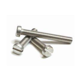 OEM Zylinderkopfschrauben M2x4 mm Stahl