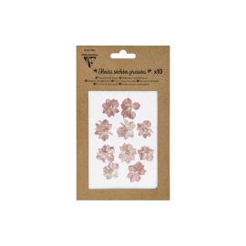 Clairefontaine Trockenblumen Rosa - FRI-GX47-005F8R