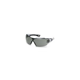 uvex Schutzbrille Pheos cx2, Grau - FRI-GX47-002VA1