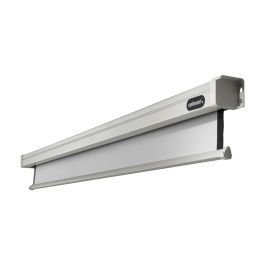 Celexon Motorleinwand Motor Professional 240x240cm 1:1 - FRI-GX47-004204
