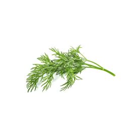 Click and Grow Samen Dill - FRI-GX47-000TKZ