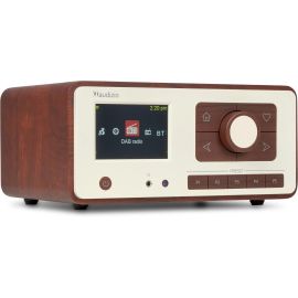 Audizio Dozza Braun - FRI-GX47-007ACG