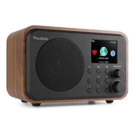 Audizio DAB+ Radio Vicenza Braun - FRI-GX47-002RK1