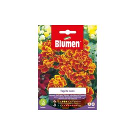 Blumen Saatgut Zwergtagetes Marietta - FRI-GX47-004AJ2